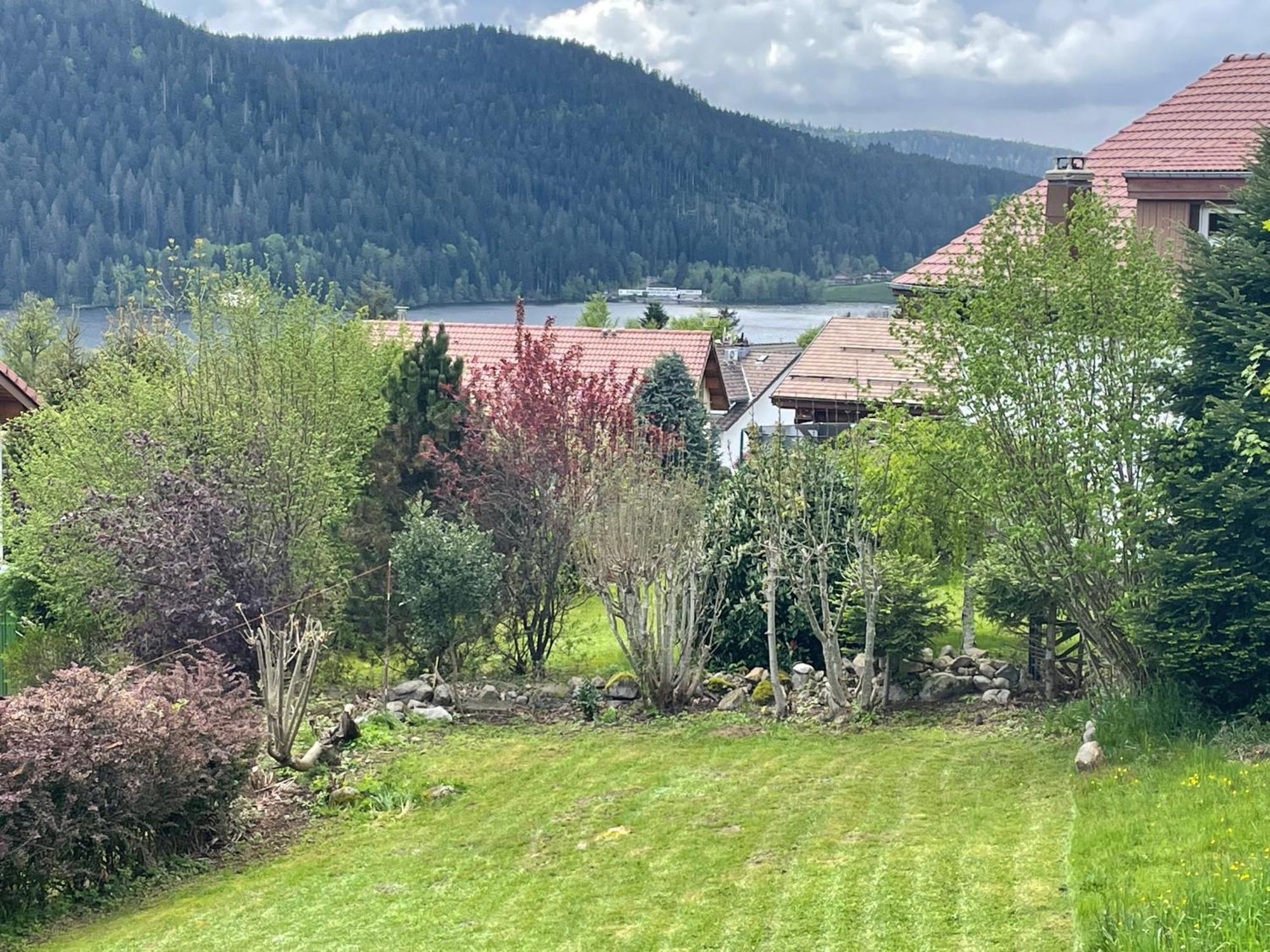 Le Chalet De Juliette Gérardmer Exterior foto